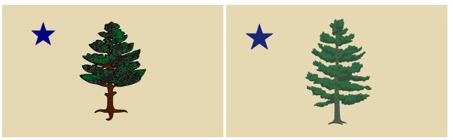  Credit:  DevinCook via Wikimedia Commons  (flag from 1901-1909, on the left),  Hstoops - Own work, CCO  (proposed flag, on the right) 