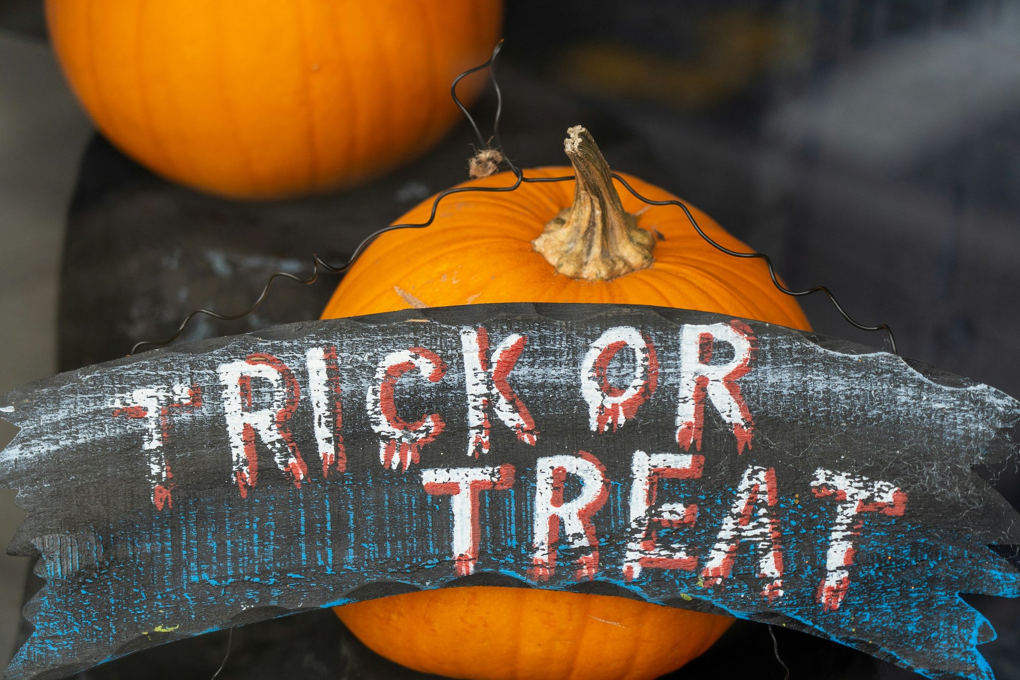  Trick or Treat display Photo by  Nick Fewings  on  Unsplash    